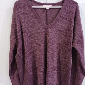Terra & Sky Maroon V-Neck Sweater